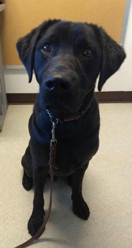 Gomez relaxing in an office, looking at the camera.