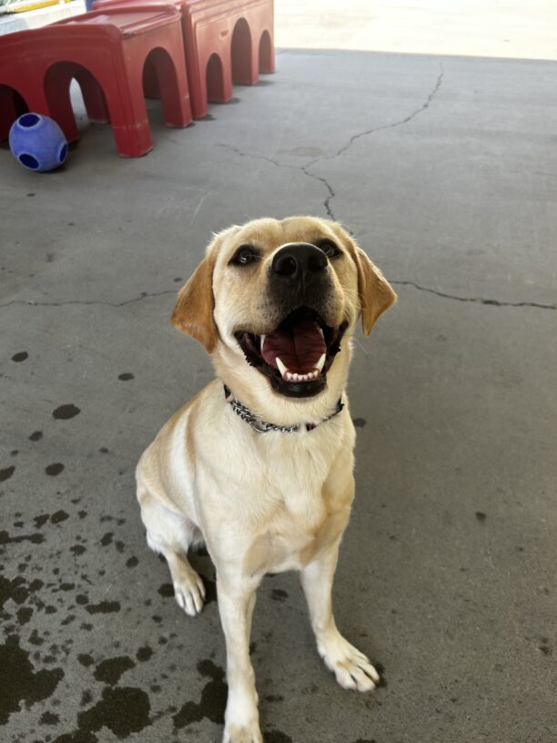 Melinda is happily sitting in CR, she has a big smile on her face while looking up at the camera