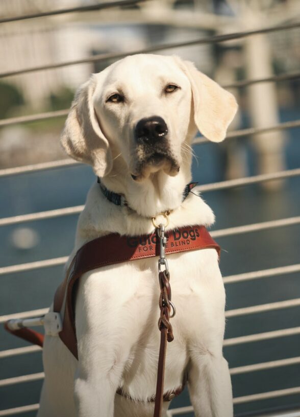 Kendrick is sitting on a bridge in Portland. He is wearing a harness and looking at the camera.