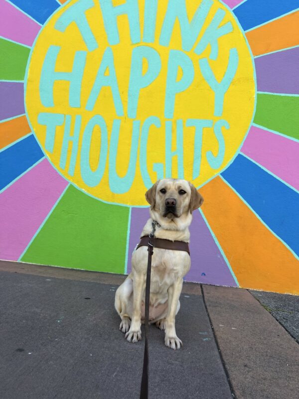 Nikita sits in harness with a brightly painted mural behind her which says