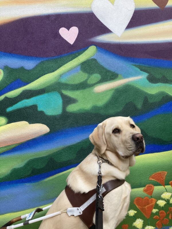<p>Daxton sits in harness in front of a painted mural of a mountain and colorful flowers.</p>