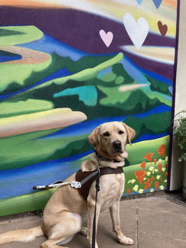 Flora sits in harness in front of a colorful painted mural.