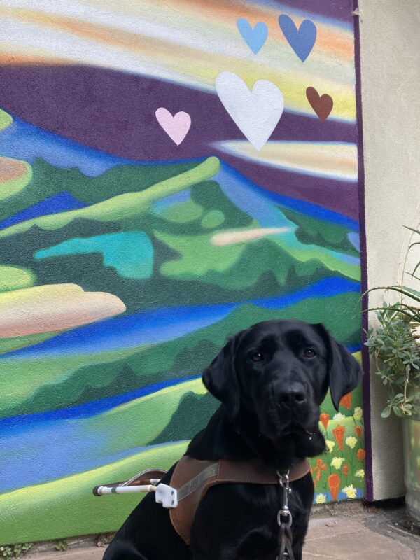 Blanchett sits in harness in front of a colorful painted mural.