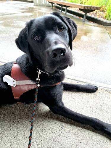 A side view of John laying on cement. He is in harness and looking up at the camera.