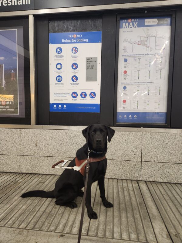 Felipe sits, in harness, in an underground transit system below the Oregon Zoo. Behind him are the schedule and map info boards.