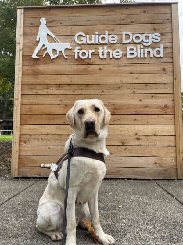 Cliff sits stoically in harness looking toward the camera. Behind him is a wooden wall with the GDB logo at the top.