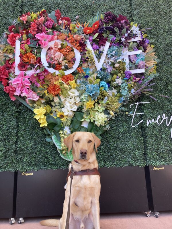 Klamath sits in harness in front of a colorful heart shaped sculpture. The heart shape is made up of a rainbow array of flowers with the word