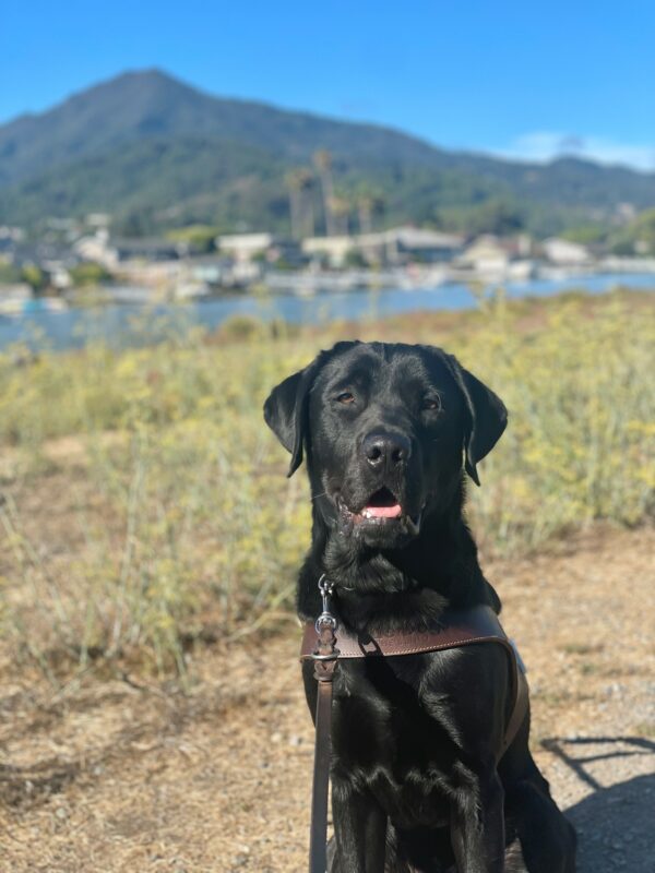 Winchell is sitting in harness on a nature path with Mount Tamalpais blurred in the background. His mouth is slightly open as he smiles at the camera.