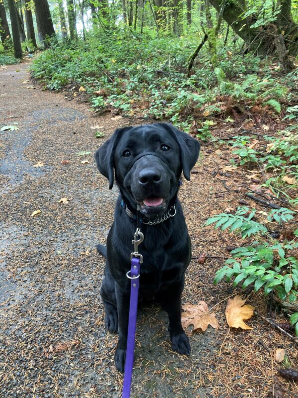 Delray sits on the side of a gravel trail, lots of green plants can be seen beside her and behind her. She looks right into the camera, smiling with her mouth open so just a bit of her tongue is visible.