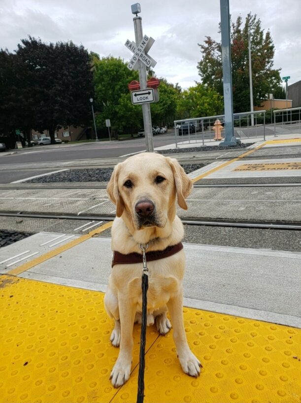 Brian is in Gresham, OR. He's wearing his harness and sitting on truncated domes. In the background, there are two sets of tracks and a railroad crossing sign.