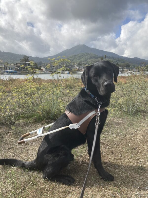 Sebastian sits in harness on a walking path in front of some water and Mt. Tam.