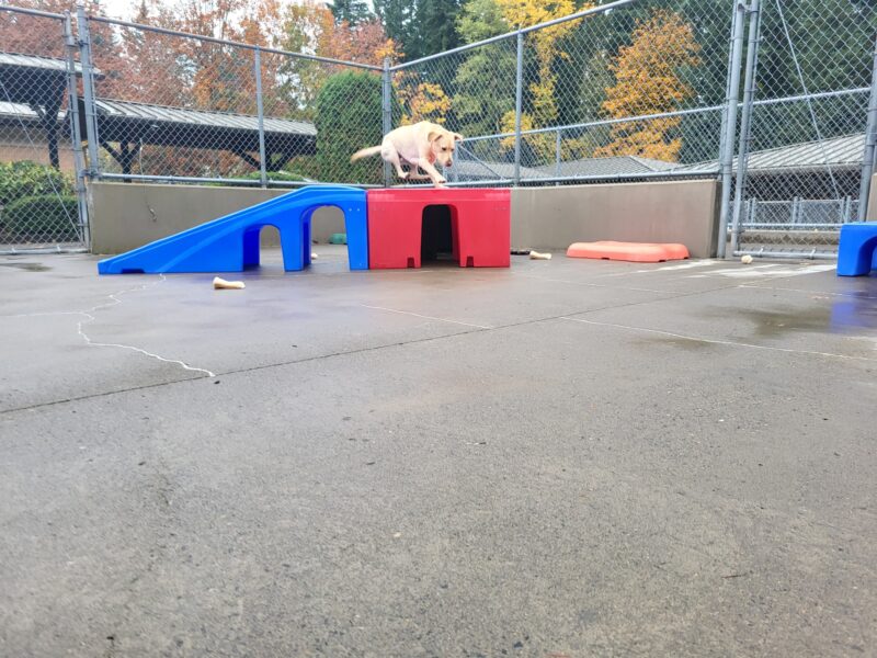 Drake is air-born, skillfully and athletically jumping over a play structure in community run.