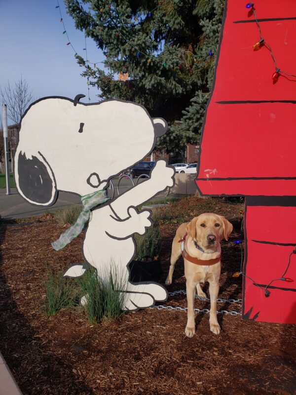 <p>Alder is standing near a large wooden cut out of the