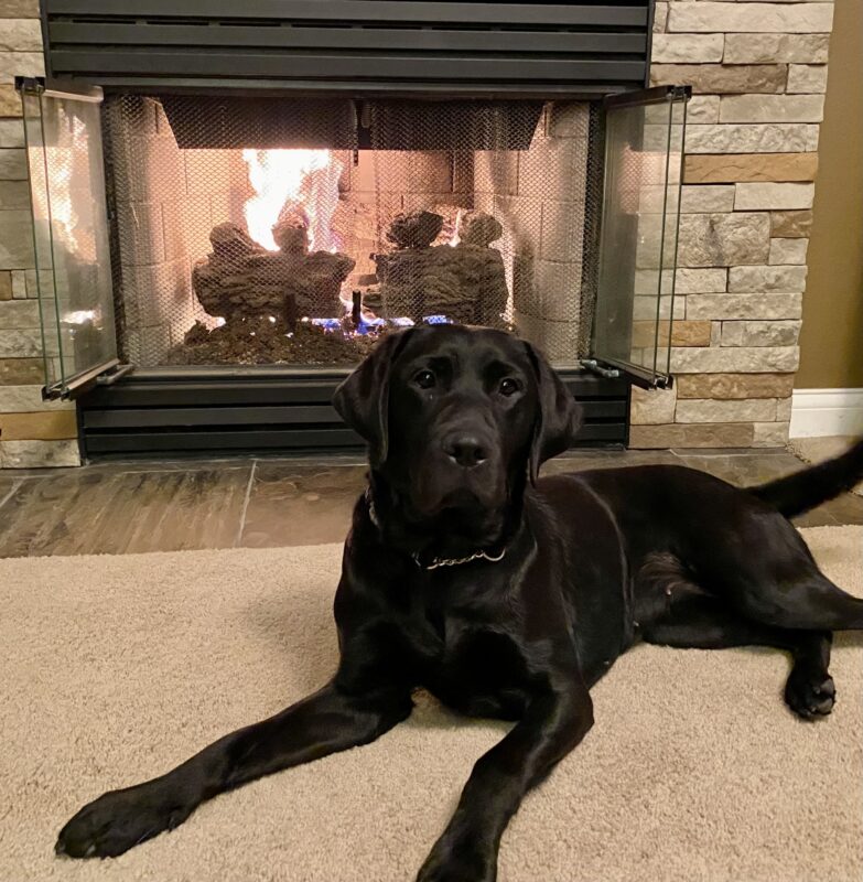 Nadine is laying on the carpet looking at the camera with a cozy fire in the fireplace behind her