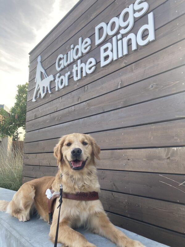 Optimist lays down on a concrete barrier in harness in front of a wooden wall with the GDB logo.