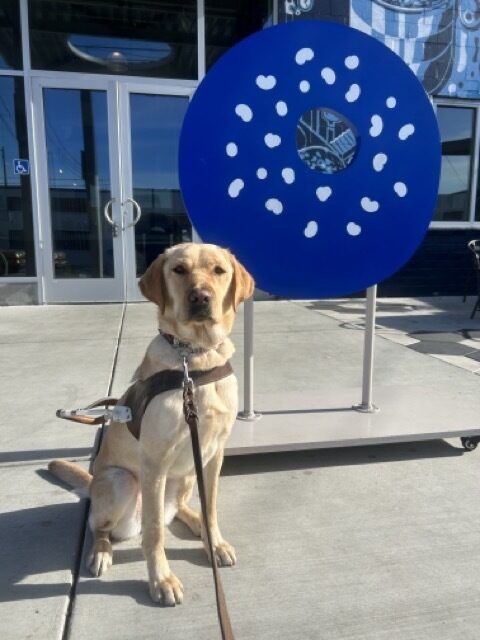 Glam sits in harness in front of a large, blue, bagel shaped sign