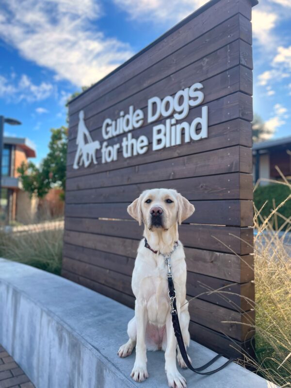<p>Laurie sits on a concrete wall with a wooden sign that reads