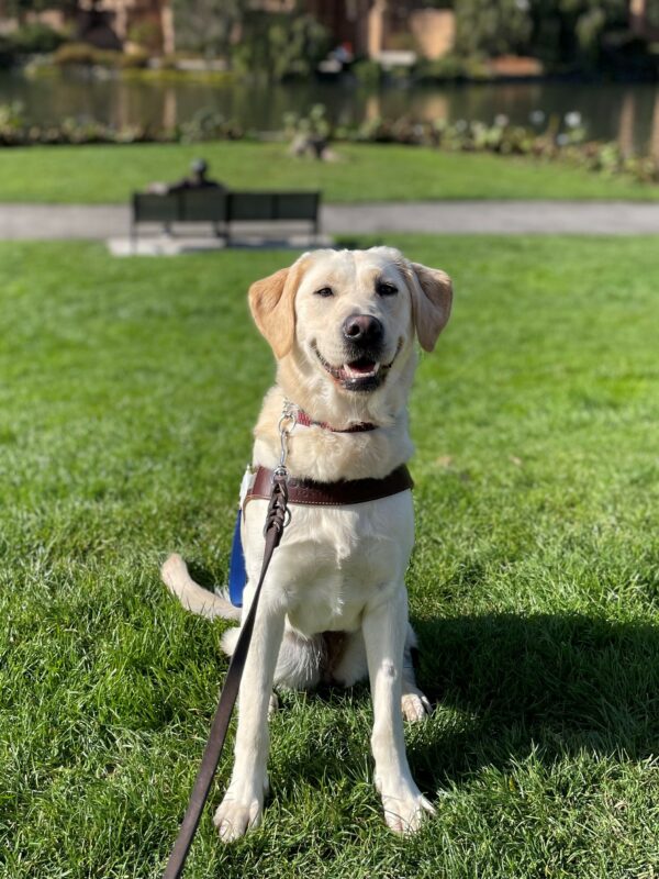 Janelle is sitting in harness on the grass at the Palace of Fine Arts. She is facing the camera, with her mouth slightly open. The Palace of Fine Arts is blurred in the background.
