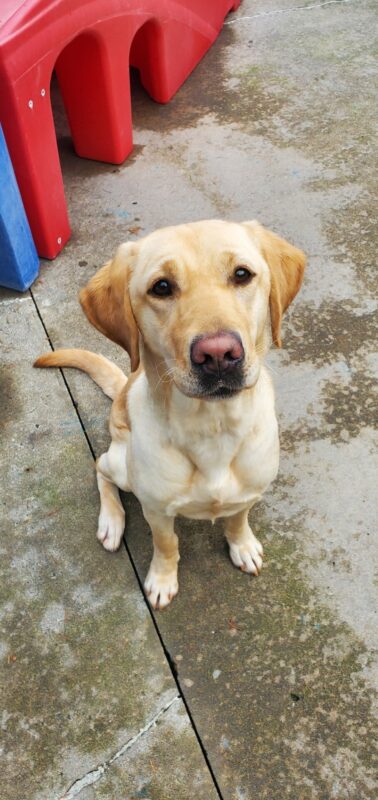 Mira is sitting, facing the camera with an expectant look on her face. There are blue and red play structures in the background.
