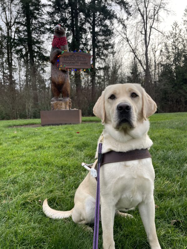 Kinley sits in harness in a lush grass field. In the background is a large, festive wooden carving of a bear holding a sign that says