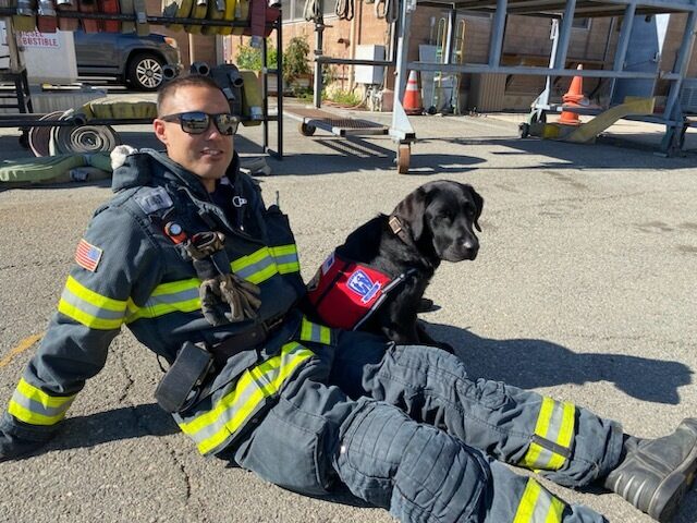 Black Lab Taffy wears a red and blue vest and sits next to a firefighter in full gear who is wearing sunglasses and smiling. Rolled up firehoses can be seen in the background.
