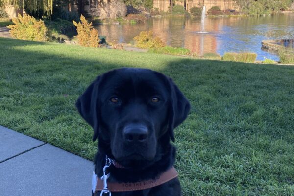 Joel is sitting in harness. Behind him is some green grass, a pond, and a large domed structure (Palace of Fine Arts) in the distance.