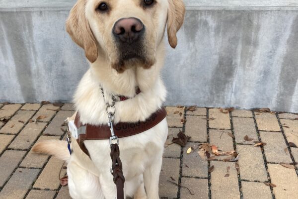 Noah sits facing the camera in harness with a focused look on his face.