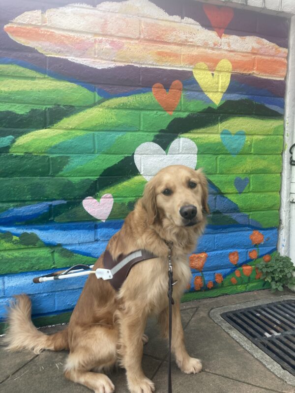 Optimist sits in harness in front of a colorful painted mural of hearts and landscape.