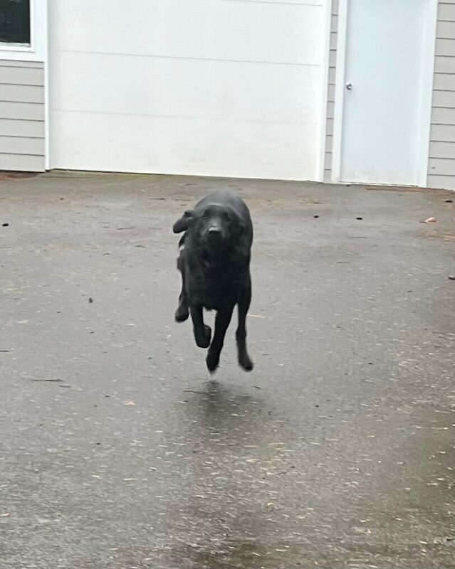 Lennon sprinting towards the camera on a rainy day.