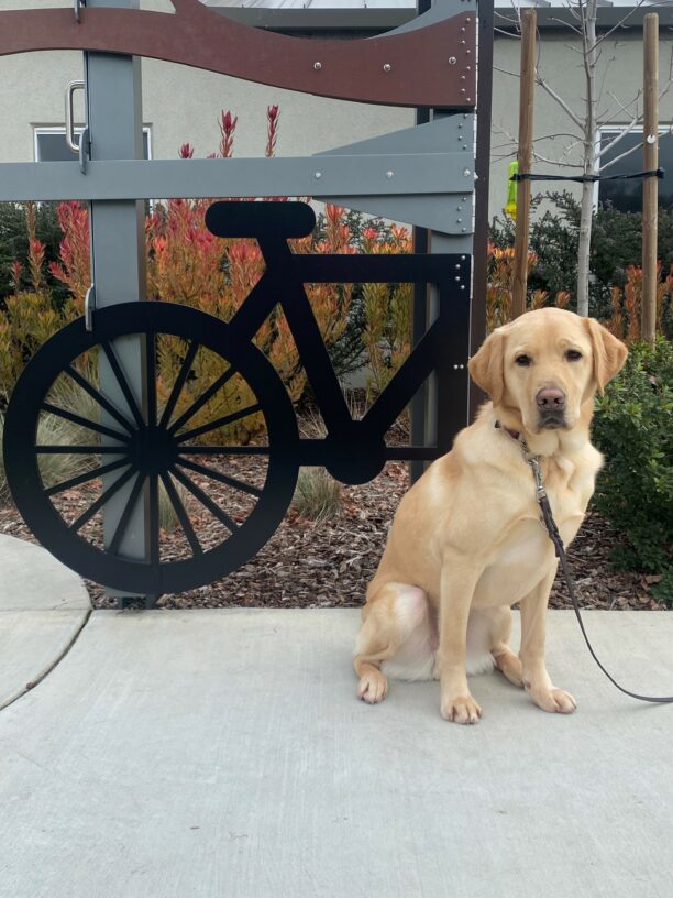 Dean sits next to a bike cutout. He is facing the camera with an unamused look on his face.