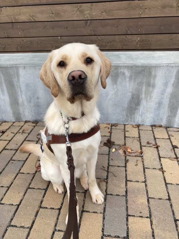 Noah sits facing the camera in harness with a focused look on his face.
