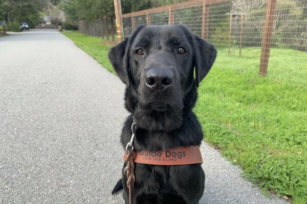 A close of photo of Marcus wearing his GDB harness while sitting on the side of a rural road.