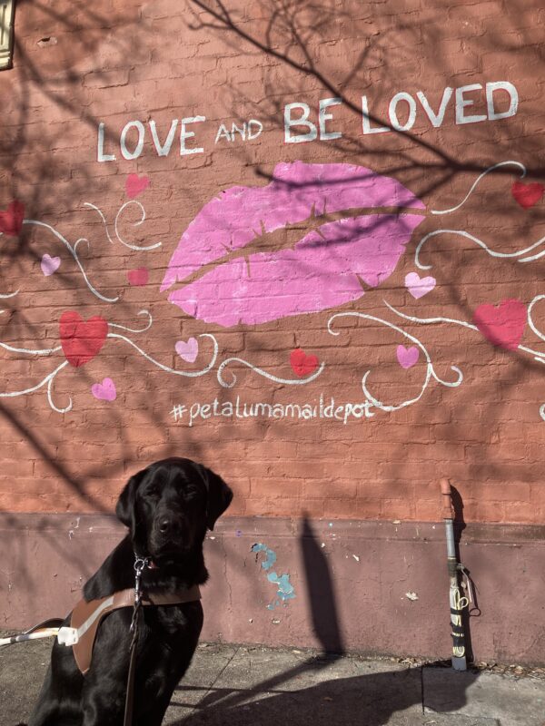 Gambit sits in harness in front of a valentines mural with hearts and lips behind him. The mural says ‘Love and Be Loved.’