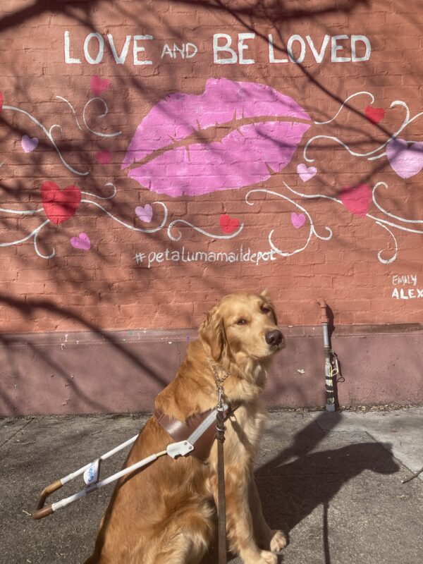 Optimist sits in harness in front of a painted red and pink Valentine’s Day mural. The mural says ‘Love and Be Loved.’