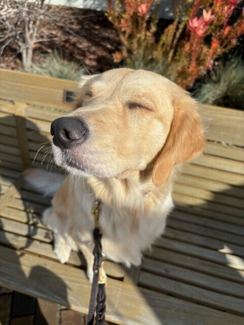 BLOOPER! Katrina sits on the wooden bench with her head turned to the side and her eyes closed because of the bright sunlight.