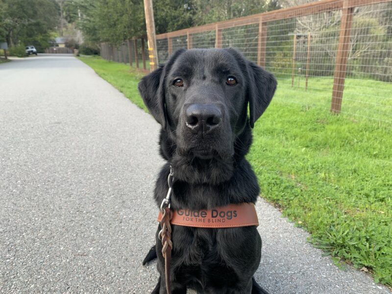 A close of photo of Marcus wearing his GDB harness while sitting on the side of a rural road.