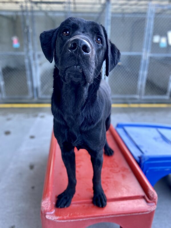 Marcus stands on a red platform in one of the community run play yards.