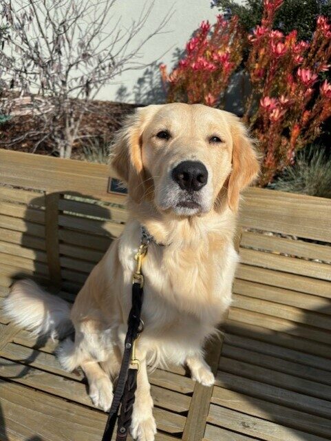 Katrina sits on a wooden bench with various plants behind her. She is squinting in the sunlight.