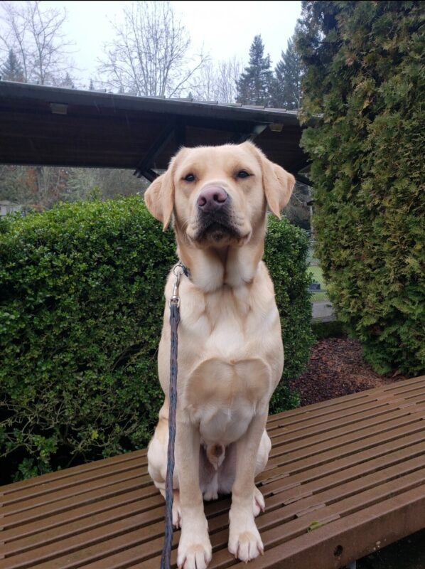 Gazpacho is sitting on a bench on the Oregon Campus. He’s looking at the camera.