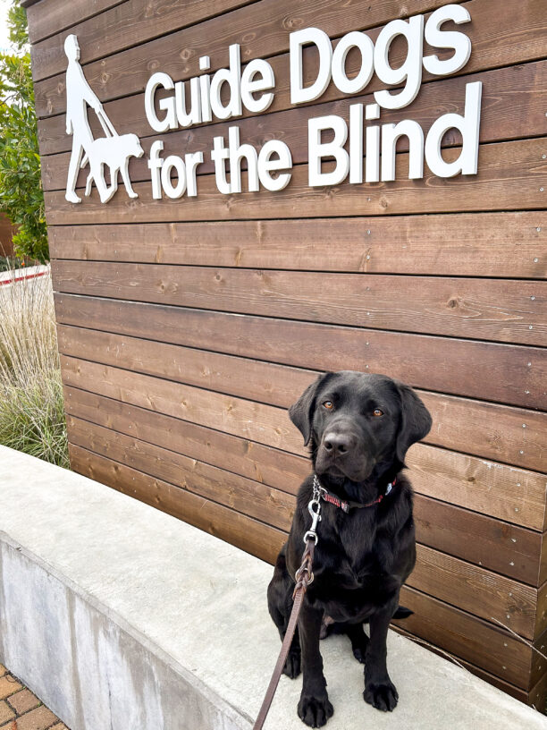 Janet sits on a cement bench in front of the wooden GDB sign on campus