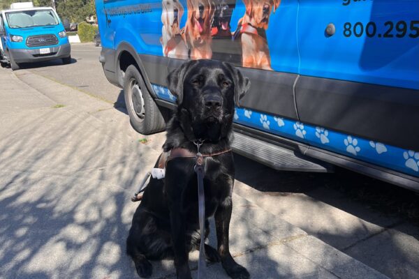 Joshua proudly wears his harness as he sits in front of one of blue training vans in town.