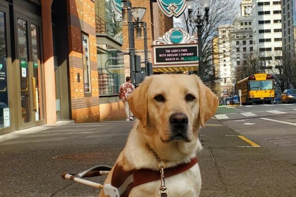 Katara is sitting on a sidewalk in City Center Portland with a tall light-up sign behind her that reads, "Portland".