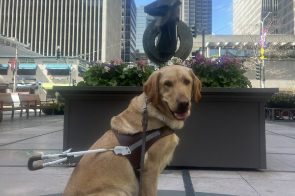 Legolas is sitting in front of a statue with flowers in downtown San Francisco. He is wearing his harness and looking at the camera with his mouth open in a smile.