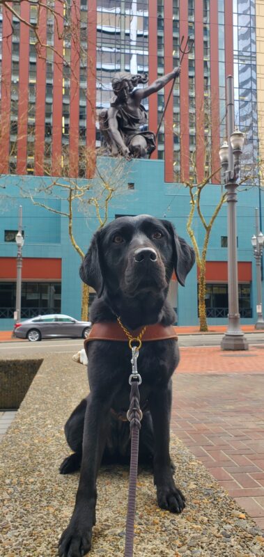 Jan sits on a cement half wall in city center Portland. She is wearing her harness and is posing underneath the Portlandia statue (The statue depicts a female figure, Lady Commerce, dressed in classical clothes, holding a trident in her left hand and reaching down with her right.)