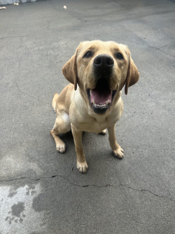 Renee sits in community run looking up at the camera. Her mouth is open in a smile.