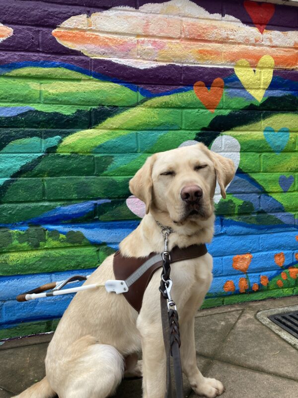 Marco sits in harness in front of a colorful mural, his eyes are squinting as he looks towards the camera.