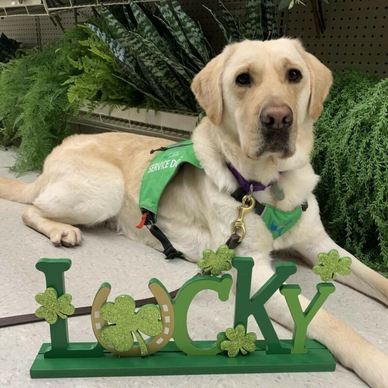 Cliff in his green service vest in front of a little desk sign that is green and says