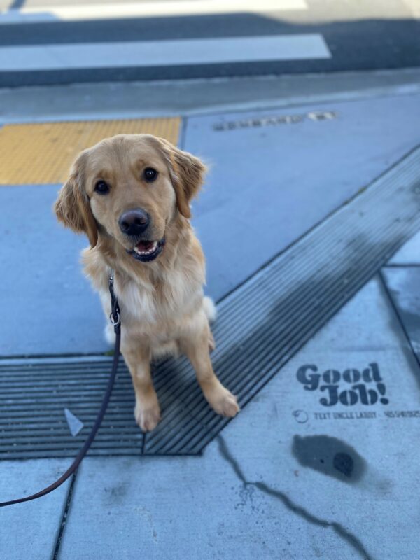 Lottie is sitting facing the camera. Beside her a stencil is spray painted on the sidewalk which reads