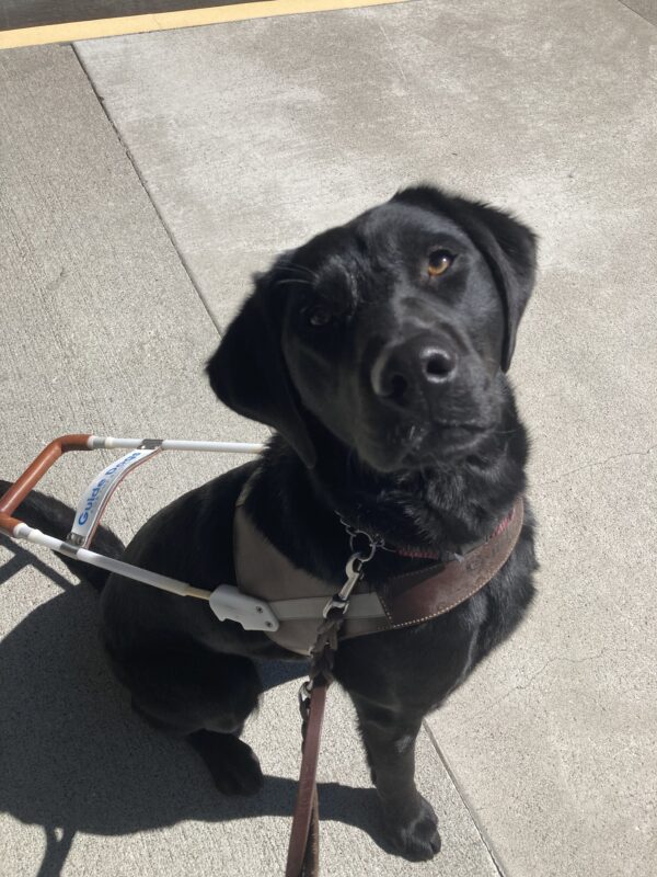 Francesca sits in harness staring directly at the camera.