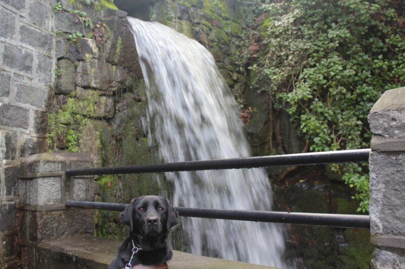 John is sitting in harness looking at the camera. A waterfall is in the background.